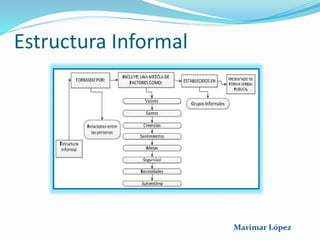 Estructura Informal
Marimar López
 