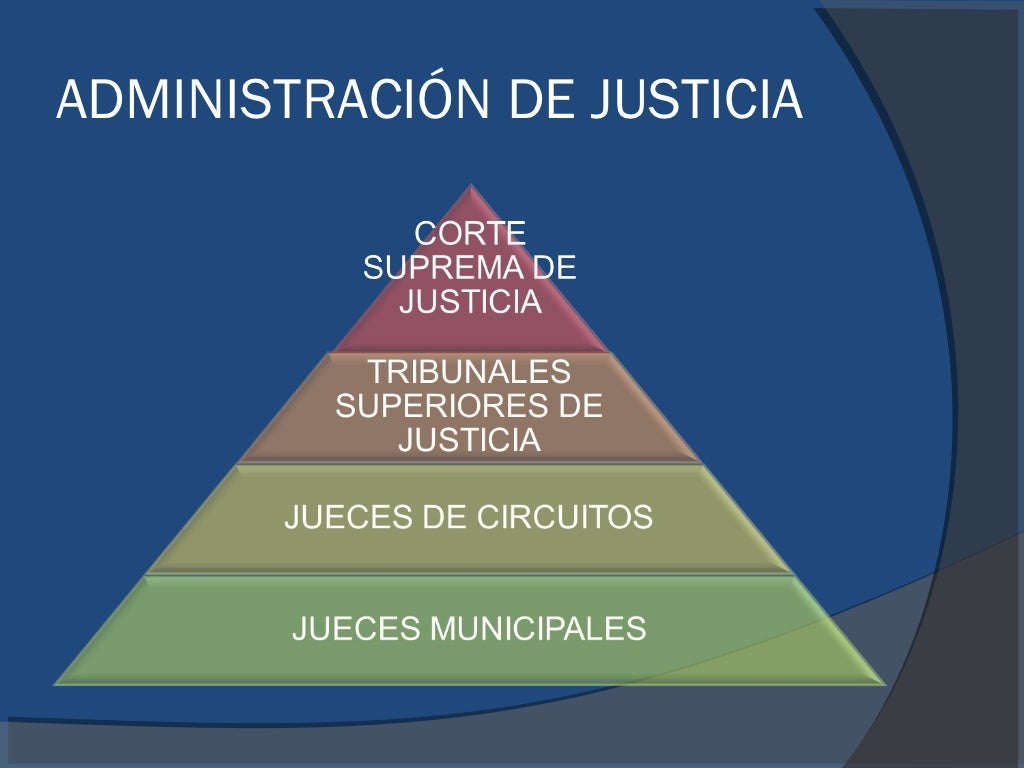 Estructura organizacional