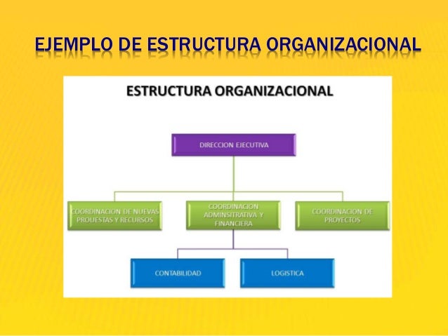 Estructura organizativa ruiz