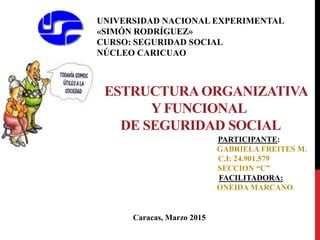 ESTRUCTURA ORGANIZATIVA
Y FUNCIONAL
DE SEGURIDAD SOCIAL
UNIVERSIDAD NACIONAL EXPERIMENTAL
«SIMÓN RODRÍGUEZ»
CURSO: SEGURIDAD SOCIAL
NÚCLEO CARICUAO
Caracas, Marzo 2015
PARTICIPANTE:
GABRIELA FREITES M.
C.I: 24.901.579
SECCION “C”
FACILITADORA:
ONEIDA MARCANO
 
