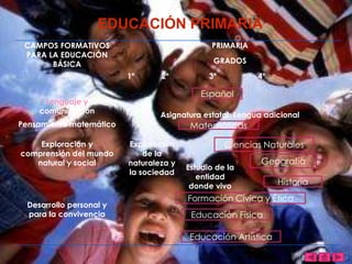 Estructura programa de estudio 2009 | PPSX