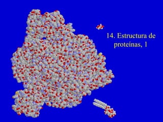 14. Estructura de 
proteínas, 1 
 
