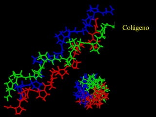 Colágeno 
 