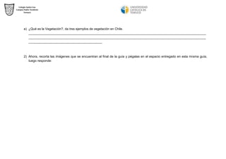 e) ¿Qué es la Vegetación?, da tres ejemplos de vegetación en Chile. 
___________________________________________________________________________________________________ ___________________________________________________________________________________________________ _________________________________________ 
2) Ahora, recorta las imágenes que se encuentran al final de la guía y pégalas en el espacio entregado en esta misma guía, luego responde: 
 