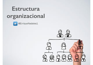 Estructura
organizacional
 