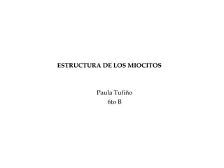 ESTRUCTURA DE LOS MIOCITOS Paula Tufiño 6to B 