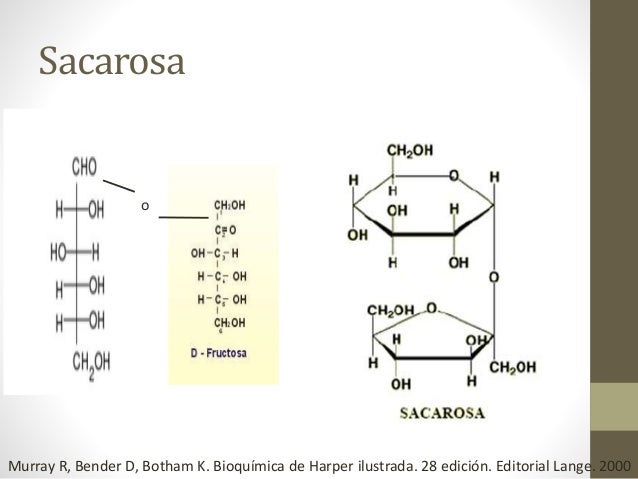 Estructuras De Fischer Y Haworth 1