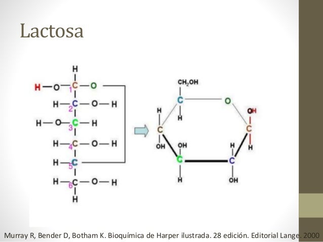 Estructuras de-fischer-y-haworth-1