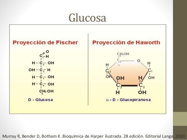 Estructuras De Fischer Y Haworth 1