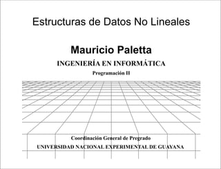 Presentación




Estructuras de Datos No Lineales

          Mauricio Paletta
     INGENIERÍA EN INFORMÁTICA
                  Programación II




          Coordinación General de Pregrado
UNIVERSIDAD NACIONAL EXPERIMENTAL DE GUAYANA

                               Programación II
 