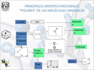 2
PRINCIPALES GRUPOS FUNCIONALES
“POLARES” DE LAS MOLÉCULAS ORGÁNICAS
Oxidrilo Alcohole
s
Carbonil
o
Aldehído
s
Cetonas
Carboxil
o
Ácidos
orgánico
s
Éste
r
Amino
OH