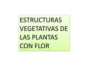 ESTRUCTURAS
VEGETATIVAS DE
LAS PLANTAS
CON FLOR
 