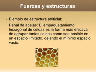 Fuerzas y estructuras

   Ejemplo de estructura artificial:
➢   Panal de abejas: El empaquetamiento
    hexagonal de celdas es la forma más efectiva
    de agrupar tantas celdas como sea posible en
    un espacio limitado, dejando el mínimo espacio
    vacío.
 