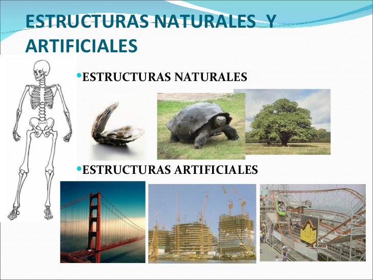 Estructuras1