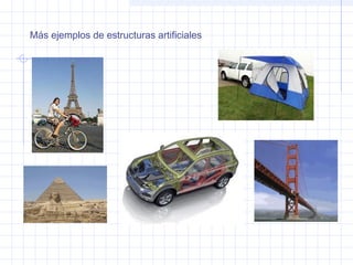 Más ejemplos de estructuras artificiales
 