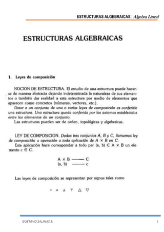 ESTRUCTURAS ALGEBRAICAS | Algebra Lineal
GUSTAVO SALINAS E. 1
 