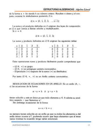 ESTRUCTURAS ALGEBRAICAS | Algebra Lineal
GUSTAVO SALINAS E. 19
 
