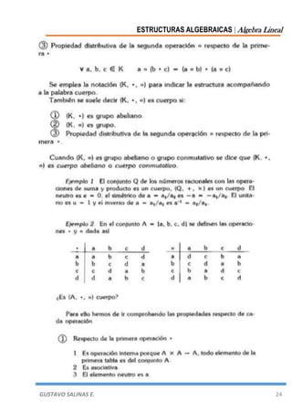 ESTRUCTURAS ALGEBRAICAS | Algebra Lineal
GUSTAVO SALINAS E. 24
 