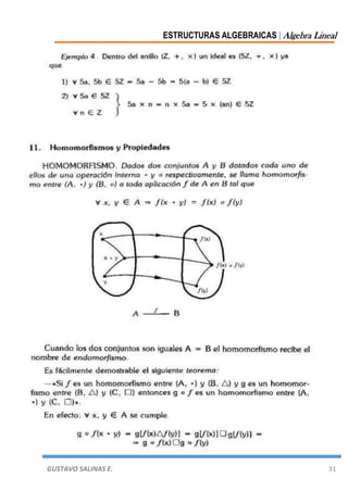 ESTRUCTURAS ALGEBRAICAS | Algebra Lineal
GUSTAVO SALINAS E. 31
 