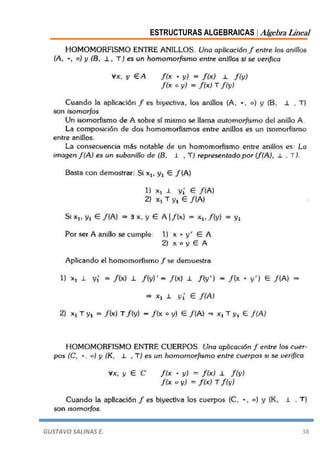 ESTRUCTURAS ALGEBRAICAS | Algebra Lineal
GUSTAVO SALINAS E. 38
 