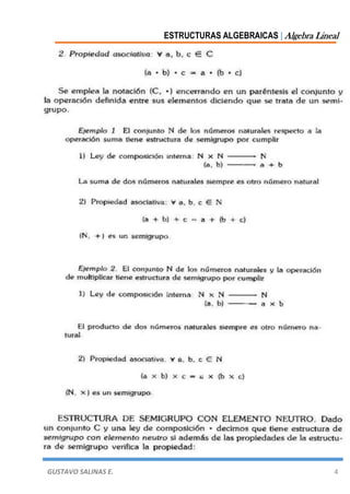 ESTRUCTURAS ALGEBRAICAS | Algebra Lineal
GUSTAVO SALINAS E. 4
 