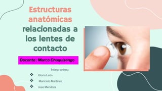 Estructuras
anatómicas
relacionadas a
los lentes de
contacto
Integrantes :
❖ Gloria León
❖ Maricielo Martínez
❖ Joao Mendoza
Docente : Marco Chuquisengo
 