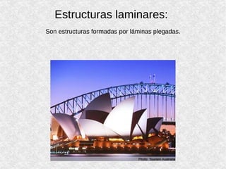 Estructuras laminares:   Son estructuras formadas por láminas plegadas. 