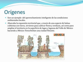 Orígenes
 Son un ejemplo del aprovechamiento inteligente de las condiciones
ambientales locales.
 Abarcaba la expansión territorial que, a través de una especie de balsas
cubiertas con tierra, sirvieron para cultivar flores y verduras, así como para

ampliar el territorio en la superficie de lagos y lagunas del Valle de México
haciendo a México-Tenochtitlan una ciudad flotante.

 