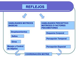 REFLEJOS



 HABILIDADES MOTRICES          HABILIDADES PERCEPTIVO
 BASICAS                       MOTRICES O FACTORES
     ...