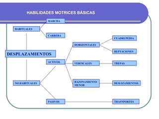 HABILIDADES MOTRICES BÁSICAS

                  MARCHA


  HABITUALES

                  CARRERA
                         ...