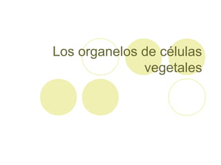 Los organelos de células
vegetales
 