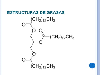 ESTRUCTURAS DE GRASAS