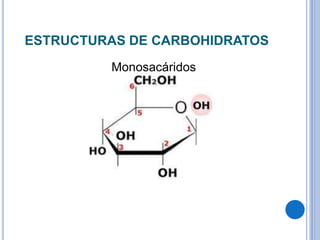ESTRUCTURAS DE CARBOHIDRATOS
Monosacáridos