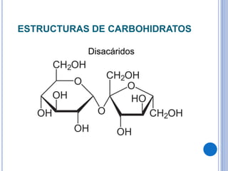 ESTRUCTURAS DE CARBOHIDRATOS
Disacáridos