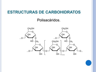 ESTRUCTURAS DE CARBOHIDRATOS
Polisacáridos.