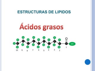 ESTRUCTURAS DE LIPIDOS