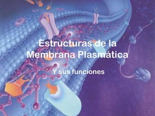Estructuras de la
Membrana Plasmática
    Y sus funciones
 