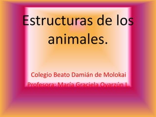 Estructuras de los animales. Colegio Beato Damián de Molokai Profesora: María Graciela Oyarzún L. 