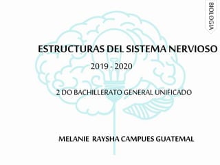 ESTRUCTURASDEL SISTEMANERVIOSO
2019 - 2020
BIOLOGIA
MELANIE RAYSHA CAMPUES GUATEMAL
2 DO BACHILLERATO GENERAL UNIFICADO
 