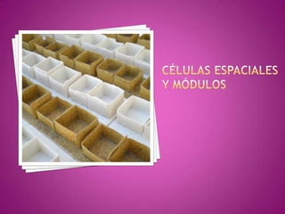 Estructuras de pared