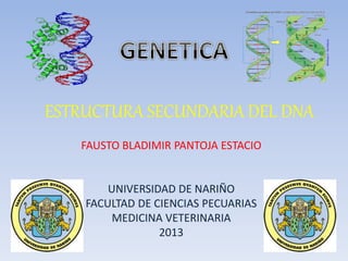ESTRUCTURA SECUNDARIA DEL DNA 
FAUSTO BLADIMIR PANTOJA ESTACIO 
UNIVERSIDAD DE NARIÑO 
FACULTAD DE CIENCIAS PECUARIAS 
MEDICINA VETERINARIA 
2013 
 