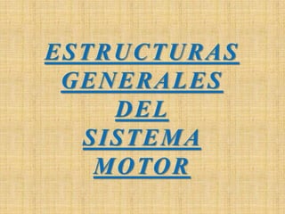ESTRUCTURAS
GENERALES
DEL
SISTEMA
MOTOR
 