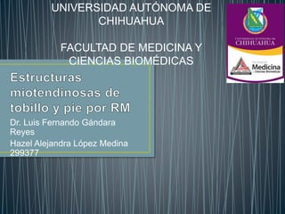 Dr. Luis Fernando Gándara
Reyes
Hazel Alejandra López Medina
299377
UNIVERSIDAD AUTÓNOMA DE
CHIHUAHUA
FACULTAD DE MEDICINA Y
CIENCIAS BIOMÉDICAS
 