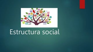 Estructura social
 