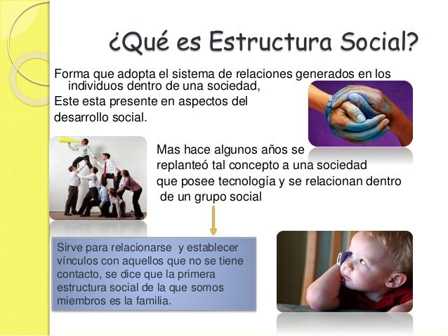 Estructura social origen evolutivo
