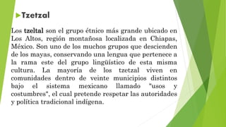 Los tzeltal son el grupo étnico más grande ubicado en
Los Altos, región montañosa localizada en Chiapas,
México. Son uno de los muchos grupos que descienden
de los mayas, conservando una lengua que pertenece a
la rama este del grupo lingüístico de esta misma
cultura. La mayoría de los tzetzal viven en
comunidades dentro de veinte municipios distintos
bajo el sistema mexicano llamado "usos y
costumbres", el cual pretende respetar las autoridades
y política tradicional indígena.
 