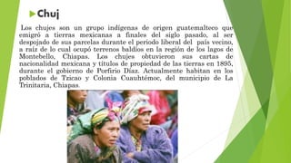 Los chujes son un grupo indígenas de origen guatemalteco que
emigró a tierras mexicanas a finales del siglo pasado, al ser
despojado de sus parcelas durante el periodo liberal del país vecino,
a raíz de lo cual ocupó terrenos baldíos en la región de los lagos de
Montebello, Chiapas. Los chujes obtuvieron sus cartas de
nacionalidad mexicana y títulos de propiedad de las tierras en 1895,
durante el gobierno de Porfirio Díaz. Actualmente habitan en los
poblados de Tzicao y Colonia Cuauhtémoc, del municipio de La
Trinitaria, Chiapas.
 