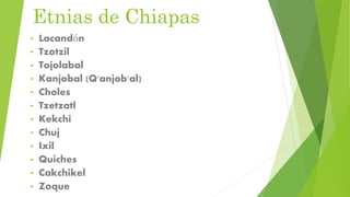 Etnias de Chiapas
• Lacandón
• Tzotzil
• Tojolabal
• Kanjobal (Q'anjob'al)
• Choles
• Tzetzatl
• Kekchi
• Chuj
• Ixil
• Quiches
• Cakchikel
• Zoque
 