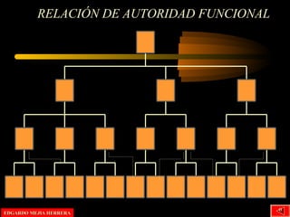 RELACIÓN DE AUTORIDAD FUNCIONAL
EDGARDO MEJIA HERRERAEDGARDO MEJIA HERRERA º
 
