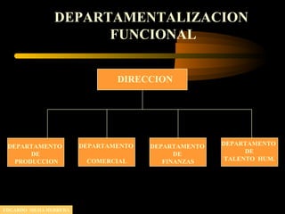 DEPARTAMENTALIZACION
FUNCIONAL
DIRECCION
DEPARTAMENTO
DE
PRODUCCION
DEPARTAMENTO
COMERCIAL
DEPARTAMENTO
DE
FINANZAS
DEPARTAMENTO
DE
TALENTO HUM.
EDGARDO MEJIA HERRERA
 